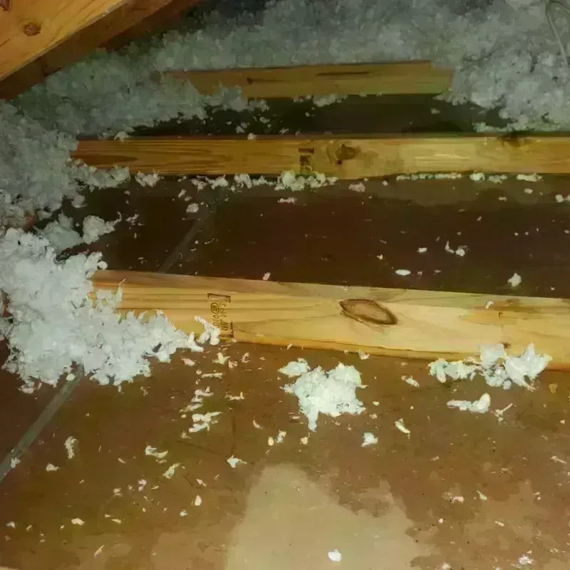 Attic Water Damage in Portland, TX