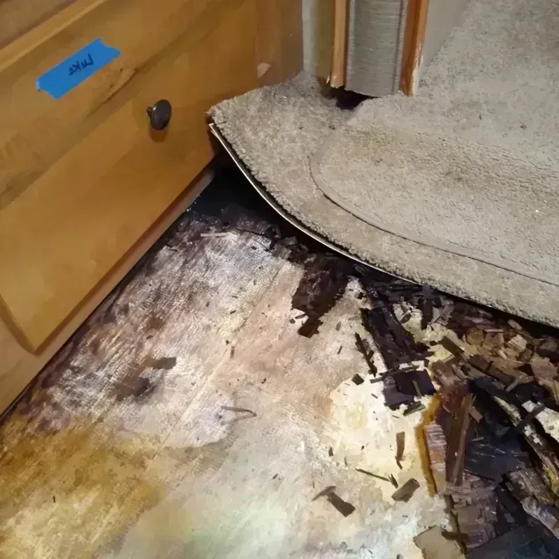 Wood Floor Water Damage in Portland, TX